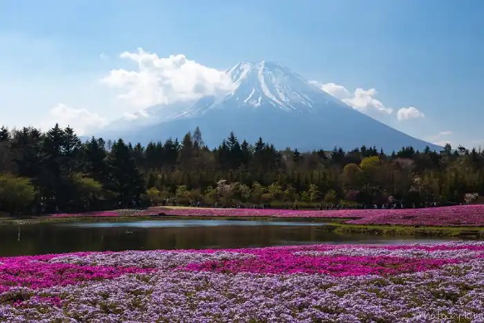 Lake Motosu, Japan